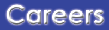 Careers Button